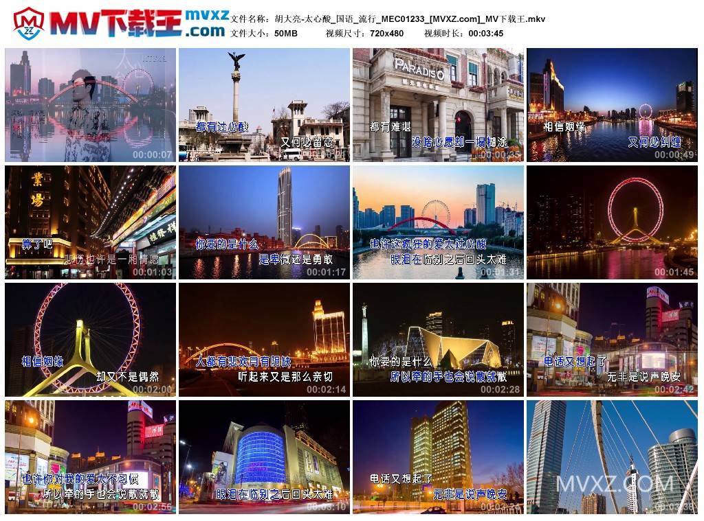 胡大亮-太心酸_国语_流行_MEC01233